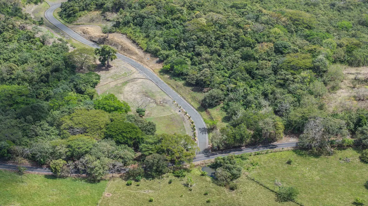 Existing paved access road through the property