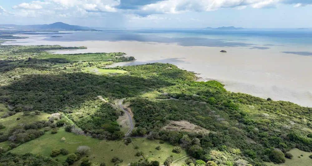 Aerial view of coastal road and terrain