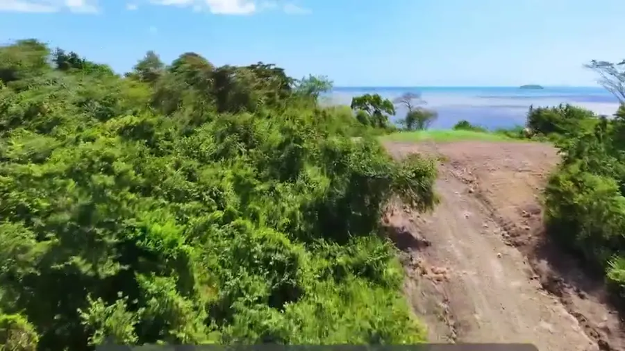 Access trail leading toward the ocean